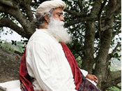 Sadhguru’s Enlightenment in his Own Words