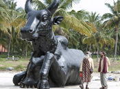 What Makes Nandi A Meditative Bull?