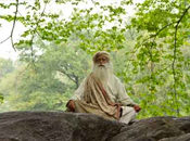 “For a committed person, there is no such thing as failure – just lessons to be…”