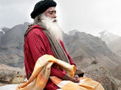 “Constantly looking in the rear view mirror will make you crash.—Sadhguru”