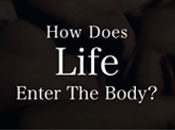 How Does Life Enter The Body