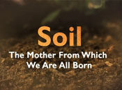 Soil: The Mother From Which We Are All Born