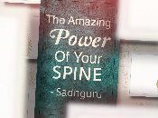 The Amazing Power Of Your Spine