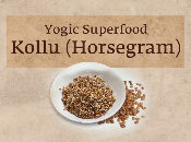 Yogic Superfood – The High-Power Protein