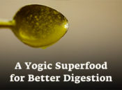 A Yogic Superfood for Better Digestion