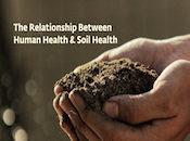 The Relationship Between Soil Health and Human Health