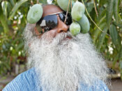 “What you see as the cosmos…”